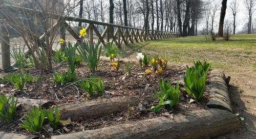 Cascina Govean Alpignano Kültér fotó